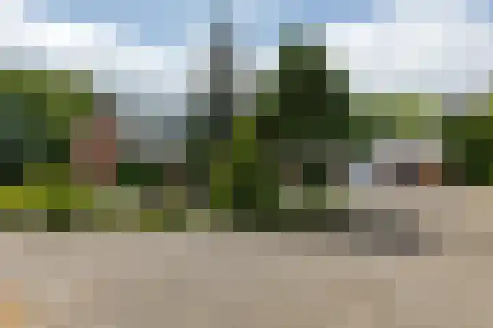 Jan Gosses Wijk 27 De Wilp thumbnail 45