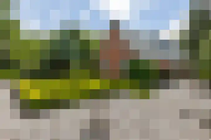 Jan Gosses Wijk 27 De Wilp thumbnail 46