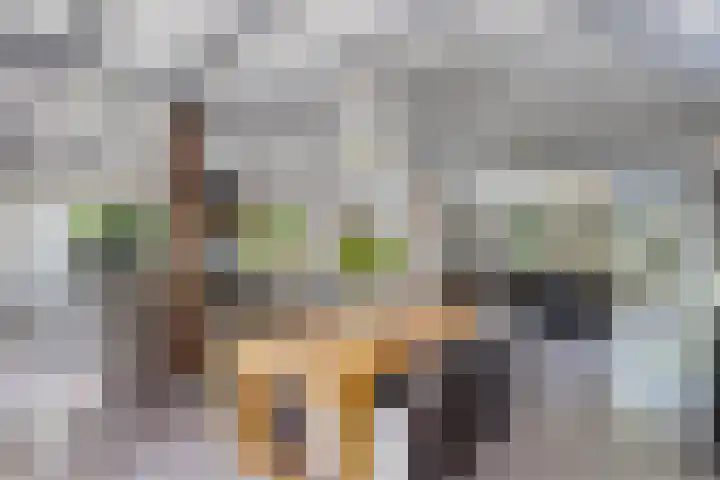 Jan Gosses Wijk 27 De Wilp thumbnail 5