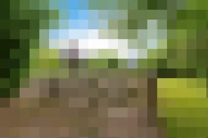 Jan Gosses Wijk 27 De Wilp thumbnail 52