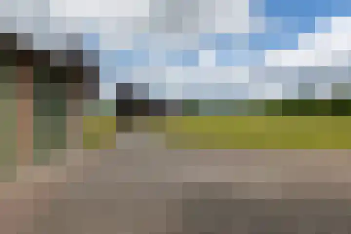 Jan Gosses Wijk 27 De Wilp thumbnail 53