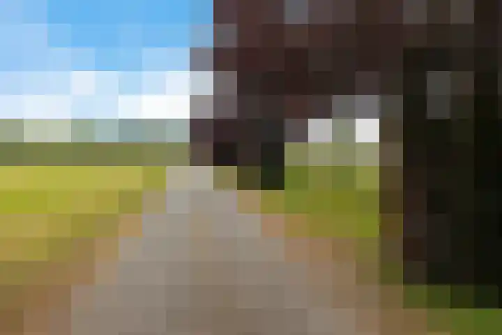 Jan Gosses Wijk 27 De Wilp thumbnail 55