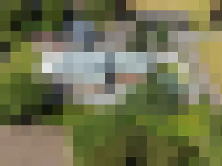 Jan Gosses Wijk 27 De Wilp thumbnail 56