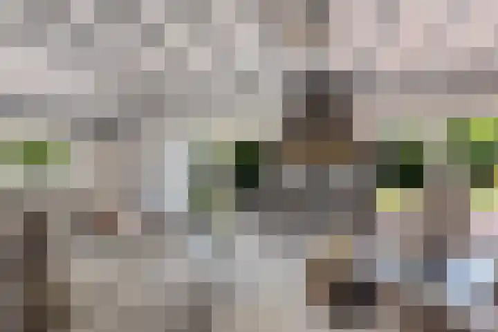 Jan Gosses Wijk 27 De Wilp thumbnail 6