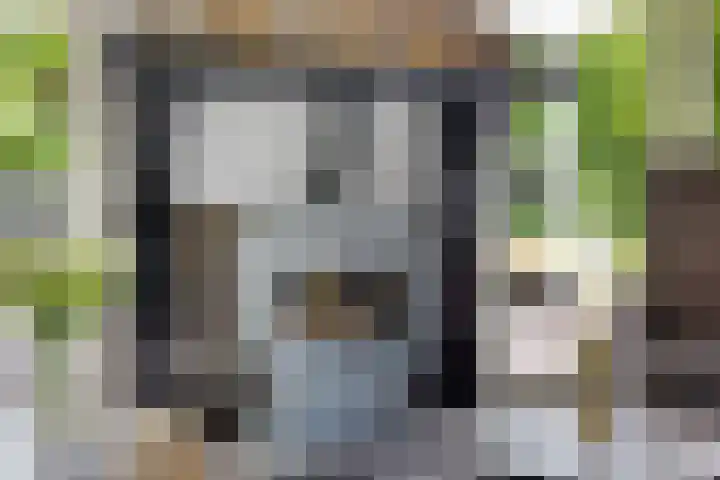 Jan Gosses Wijk 27 De Wilp thumbnail 8