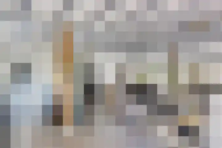 Jan Gosses Wijk 27 De Wilp thumbnail 9