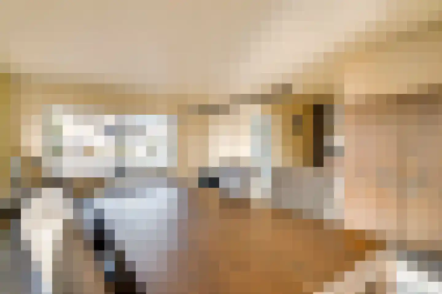 Jan Grégoirelaan 6 Herkenbosch thumbnail 10