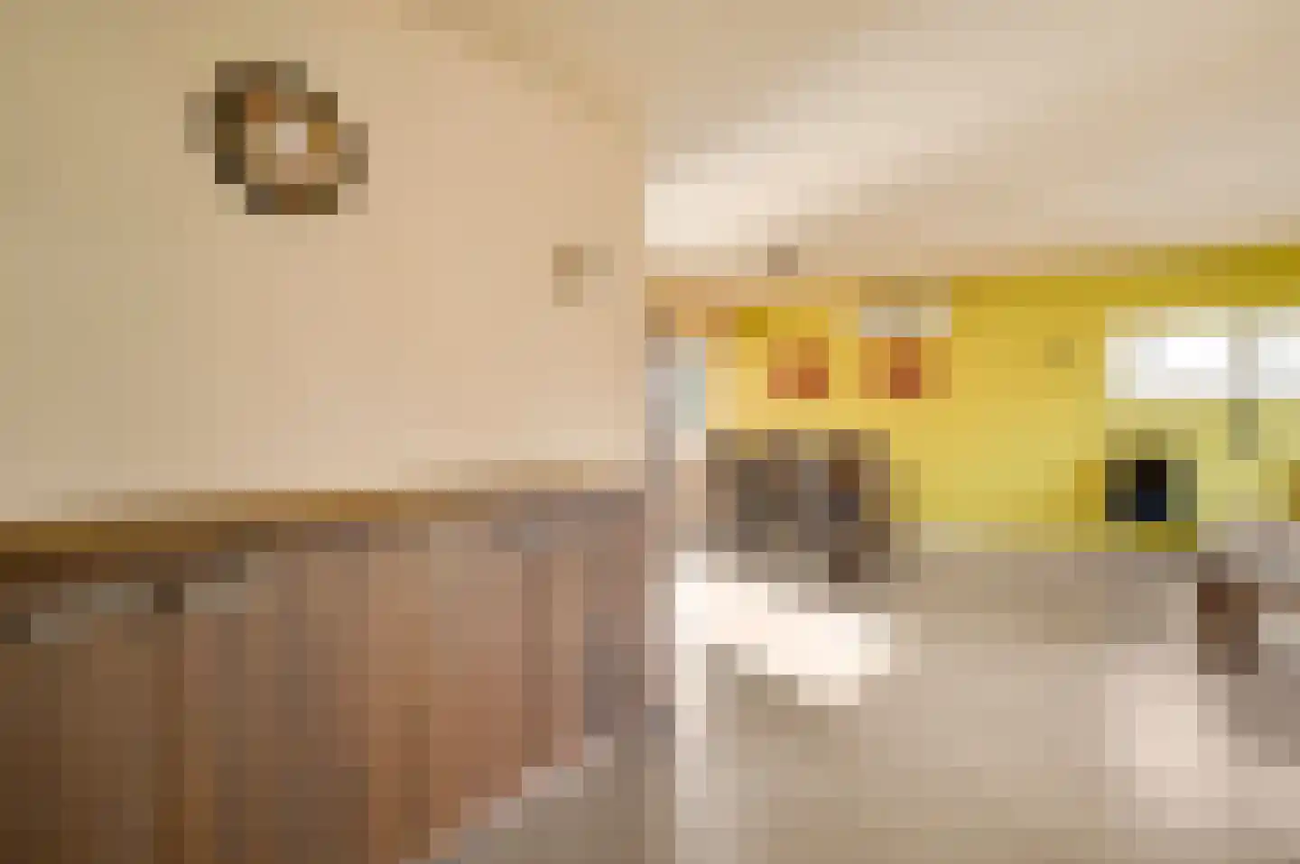 Jan Grégoirelaan 6 Herkenbosch thumbnail 11