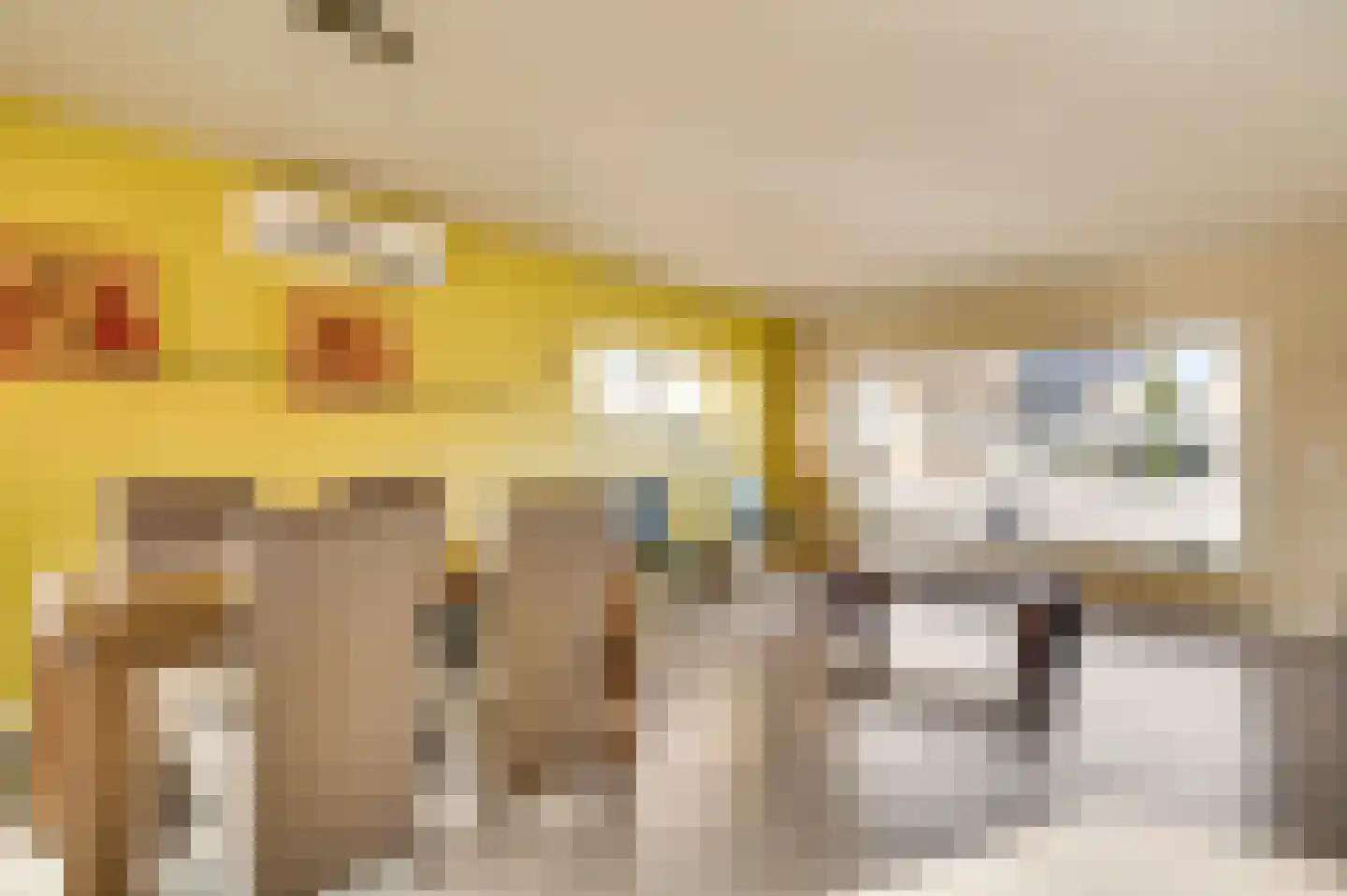 Jan Grégoirelaan 6 Herkenbosch thumbnail 9