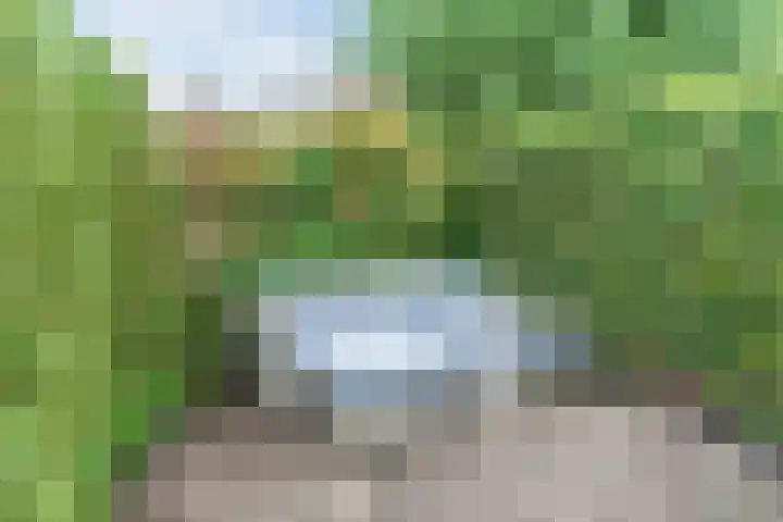 Jan Greshoffstraat 12 Gorinchem thumbnail 17