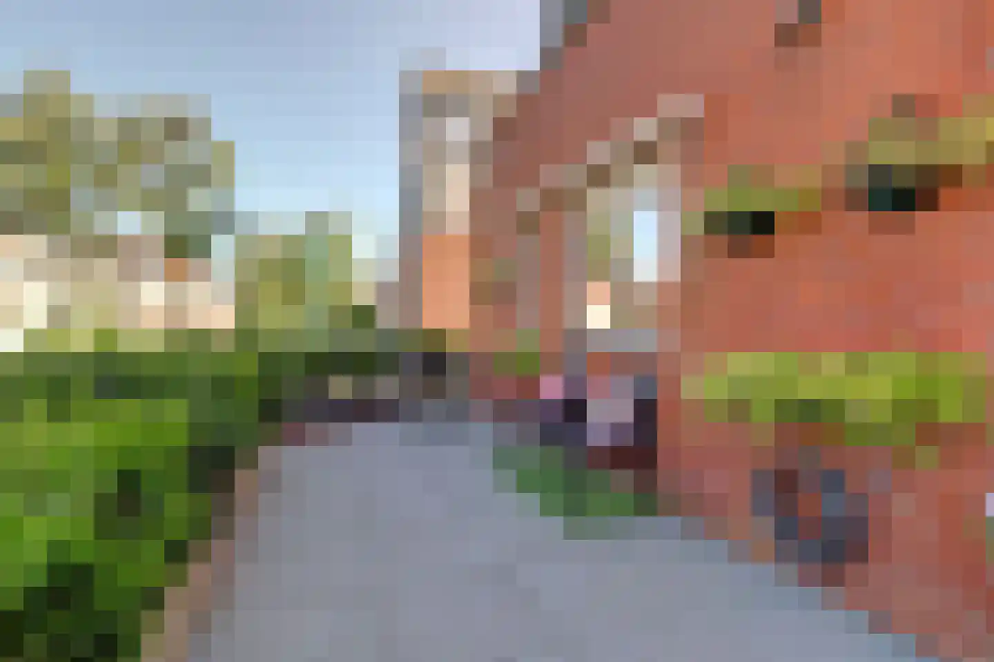 Jan Greshoffstraat 21 Gorinchem thumbnail 48