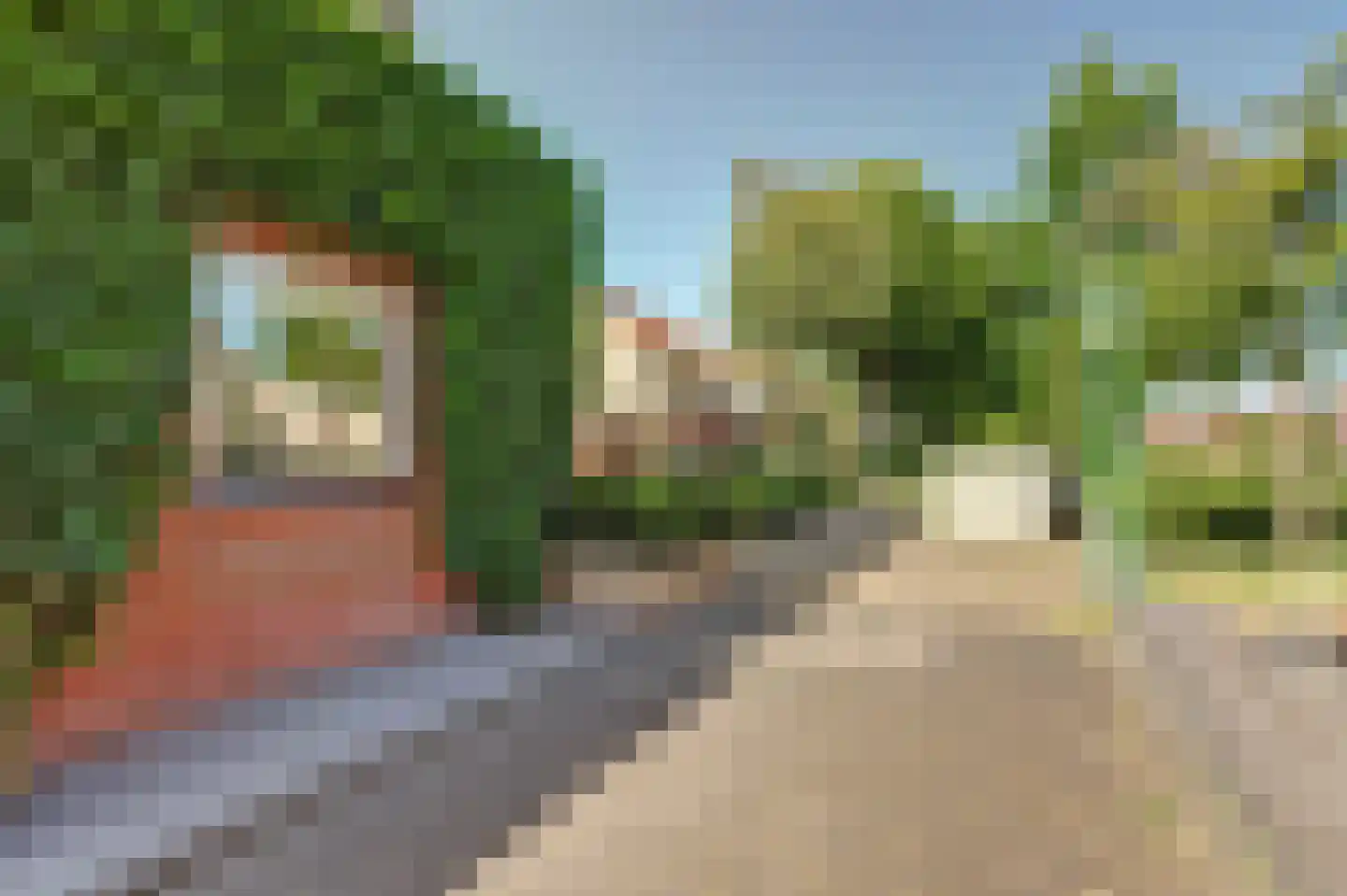 Jan Greshoffstraat 21 Gorinchem thumbnail 51