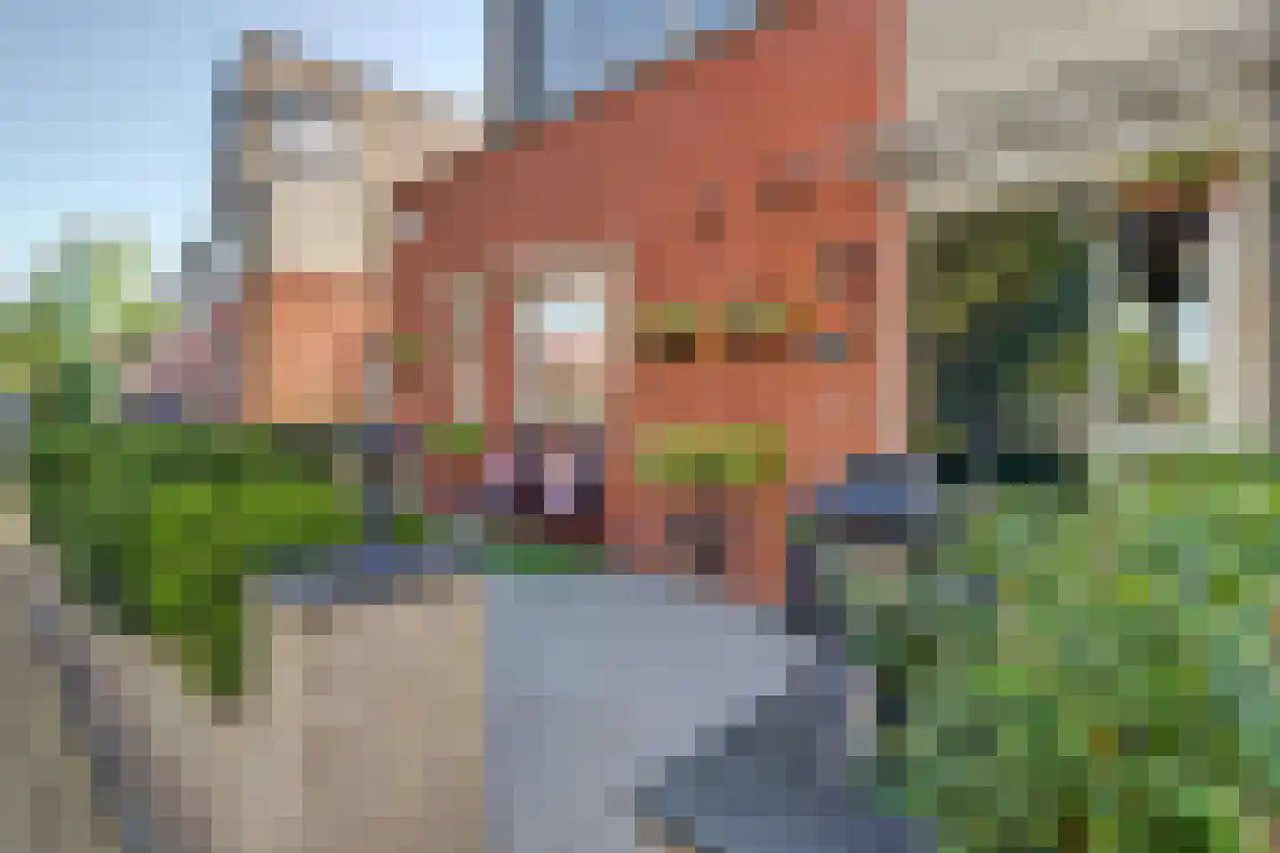 Jan Greshoffstraat 21 Gorinchem thumbnail 6
