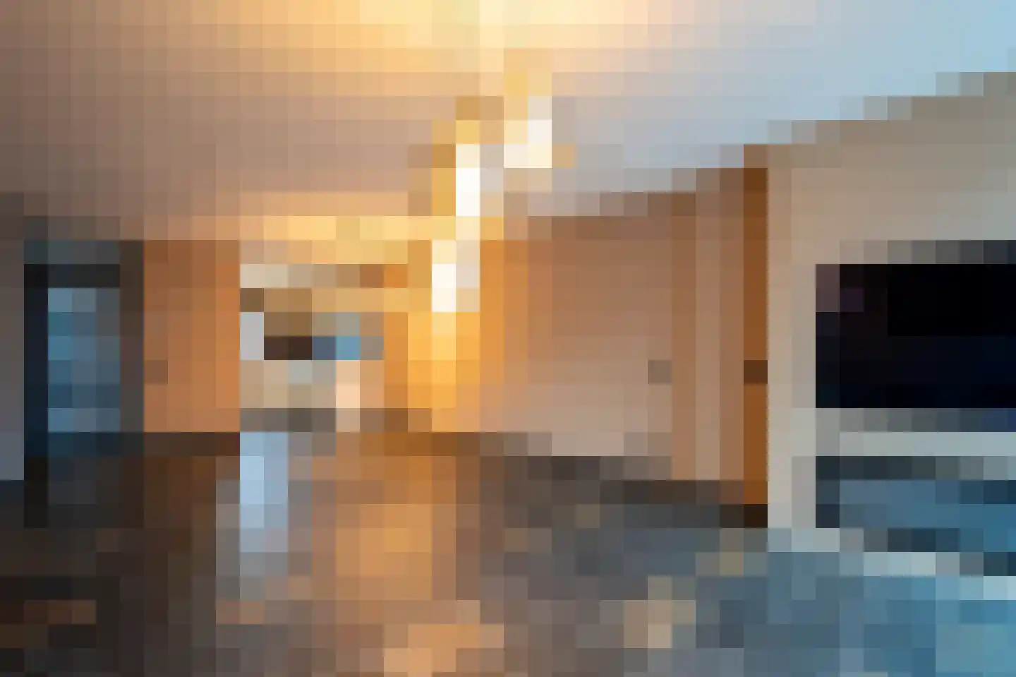 Jan Greshoffstraat 33 Gorinchem thumbnail 10