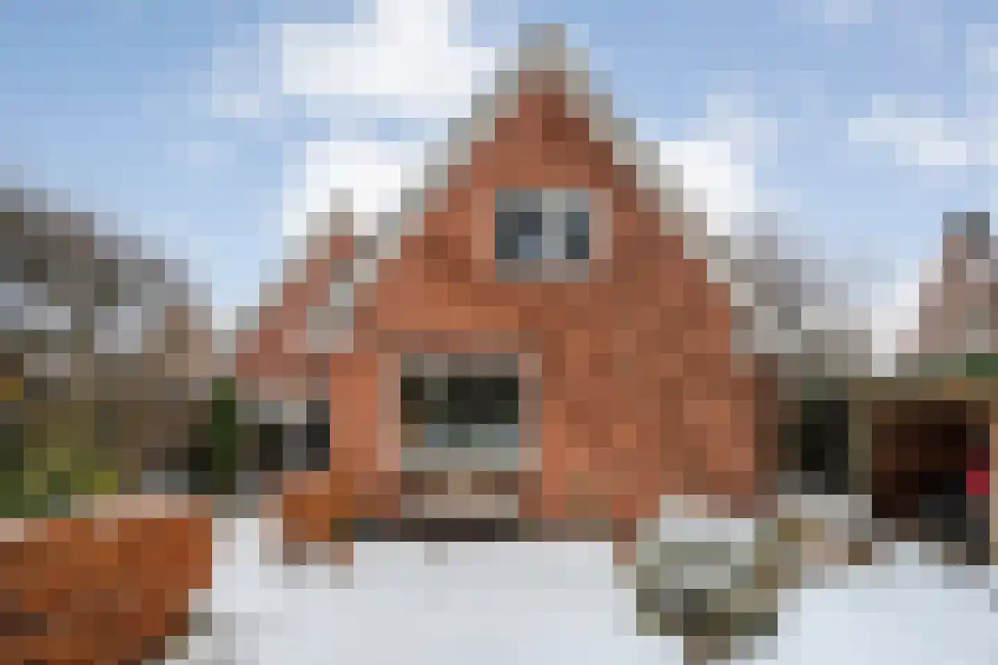 Jan Haarstraat 23 Kerkenveld thumbnail 51