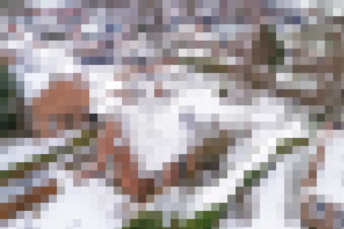 Jan Haarstraat 23 Kerkenveld thumbnail 64