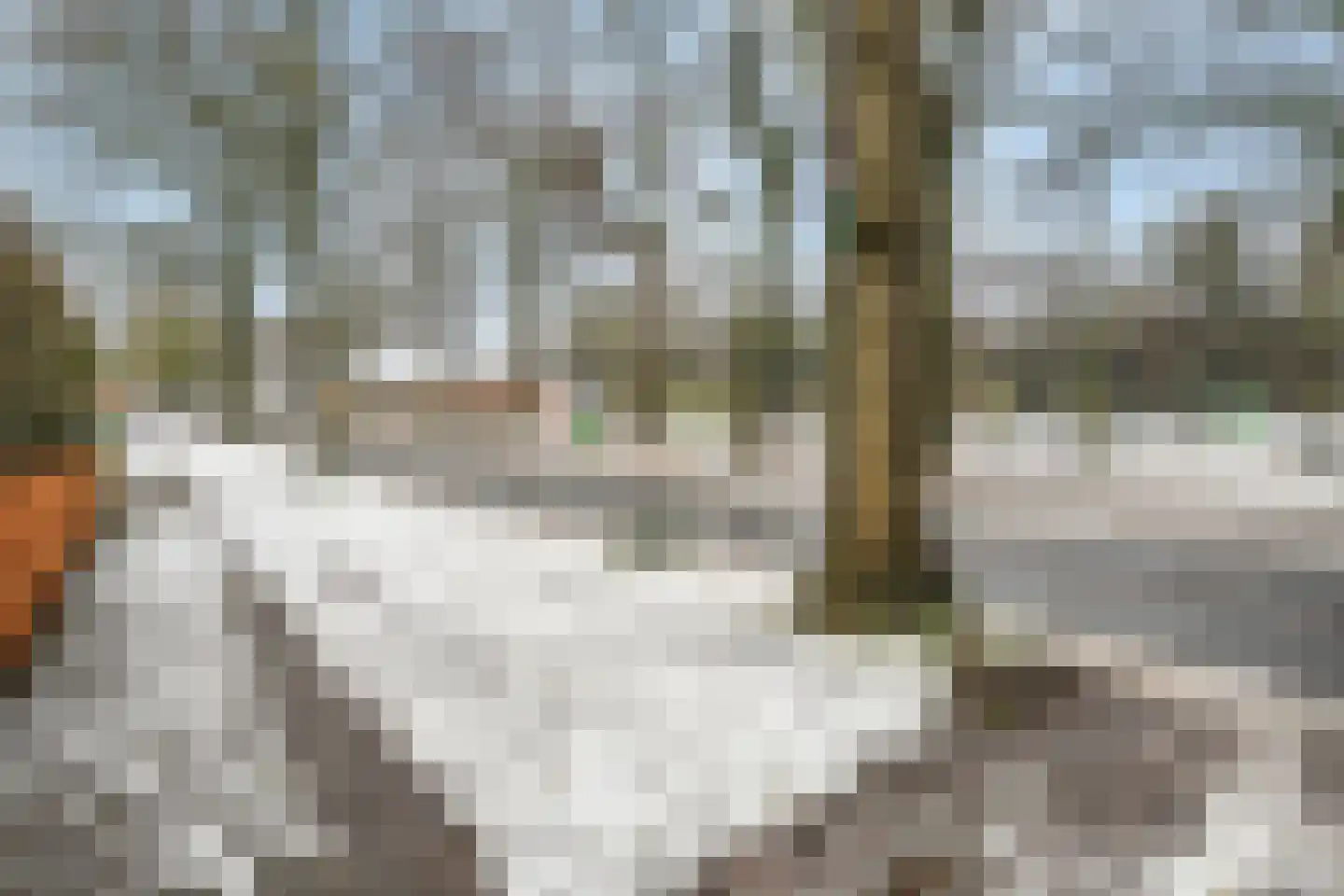 Jan Haarstraat 23 Kerkenveld thumbnail 67