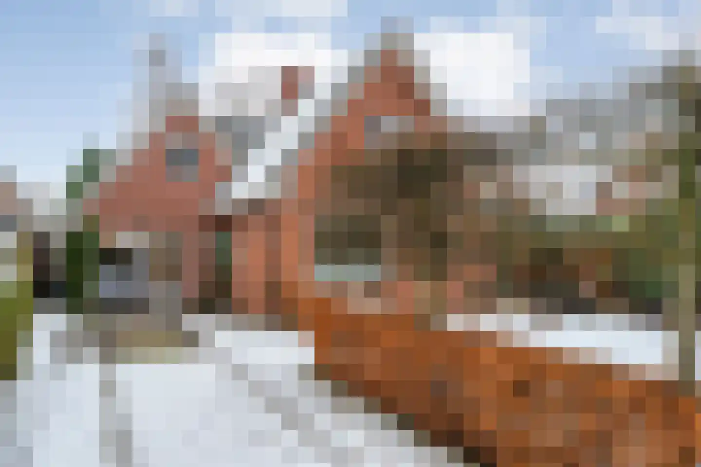 Jan Haarstraat 23 Kerkenveld thumbnail 7