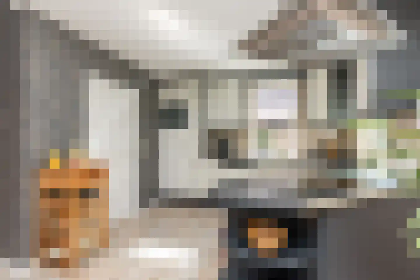Jan Haarstraat 25 Kerkenveld thumbnail 17