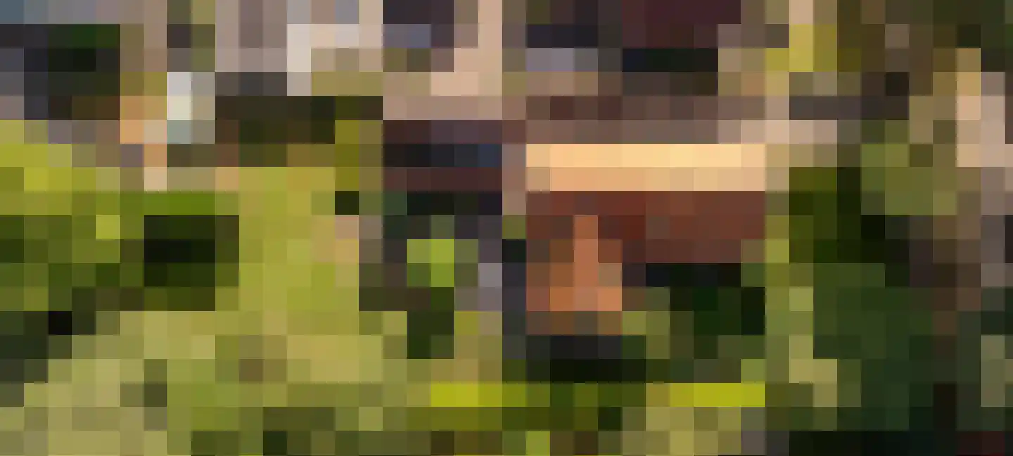Jan Haarstraat 25 Kerkenveld thumbnail 43