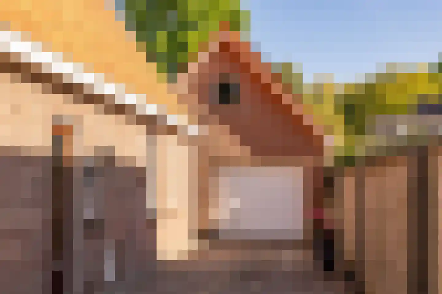 Jan Haarstraat 25 Kerkenveld thumbnail 44