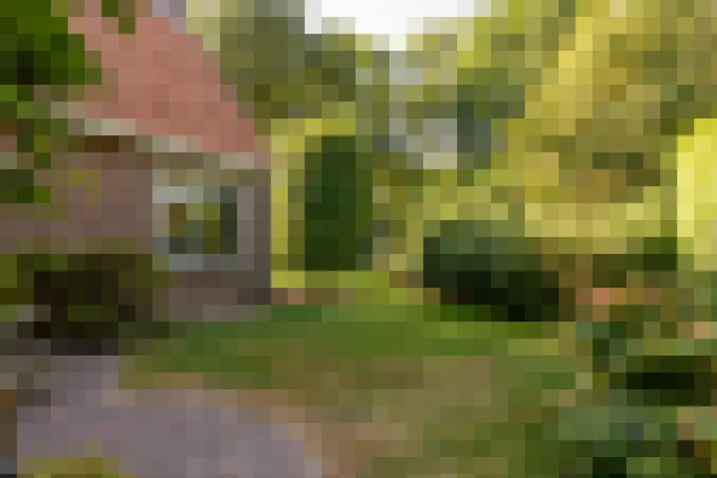 Jan Haarstraat 25 Kerkenveld thumbnail 49