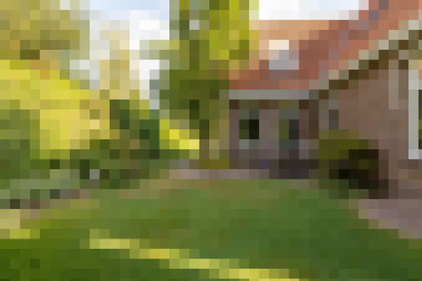 Jan Haarstraat 25 Kerkenveld thumbnail 50