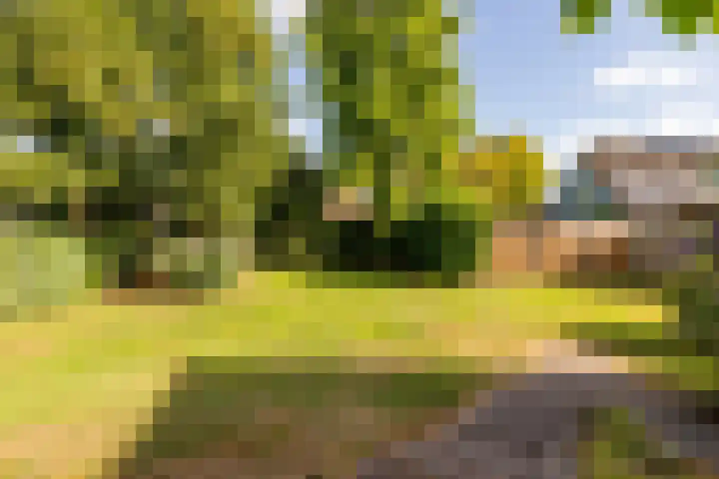 Jan Haarstraat 25 Kerkenveld thumbnail 51