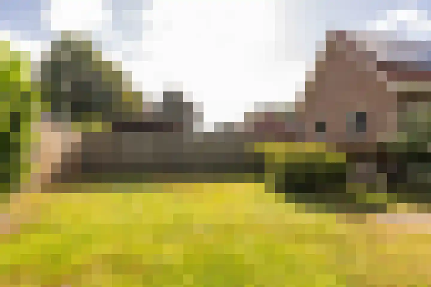 Jan Haarstraat 25 Kerkenveld thumbnail 52