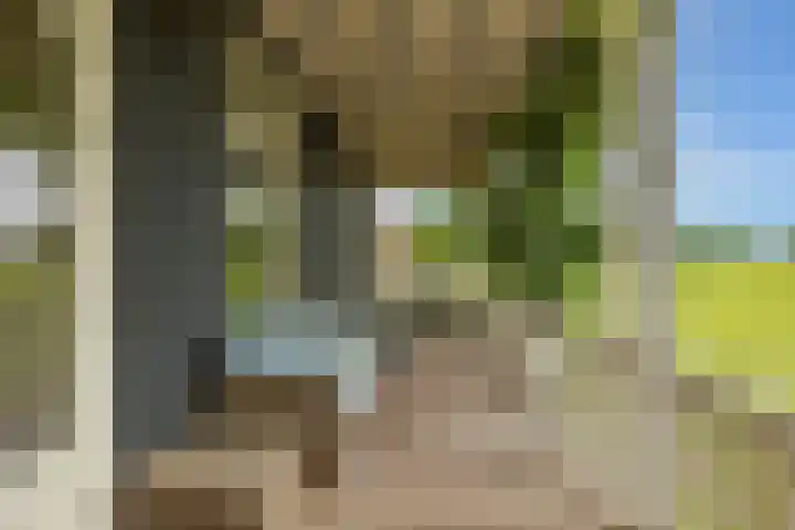 Jan Haarstraat 36 Kerkenveld thumbnail 65