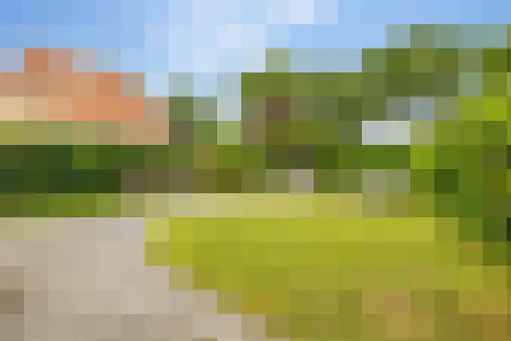 Jan Haarstraat 36 Kerkenveld thumbnail 67