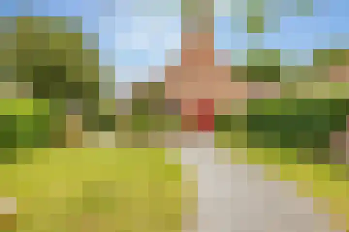 Jan Haarstraat 36 Kerkenveld thumbnail 7