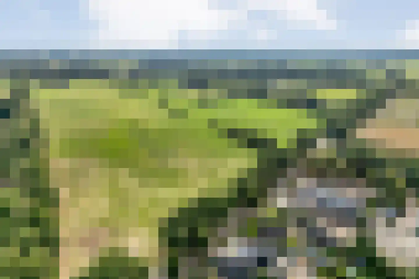 Jan Haarstraat 8 Alteveer thumbnail 5