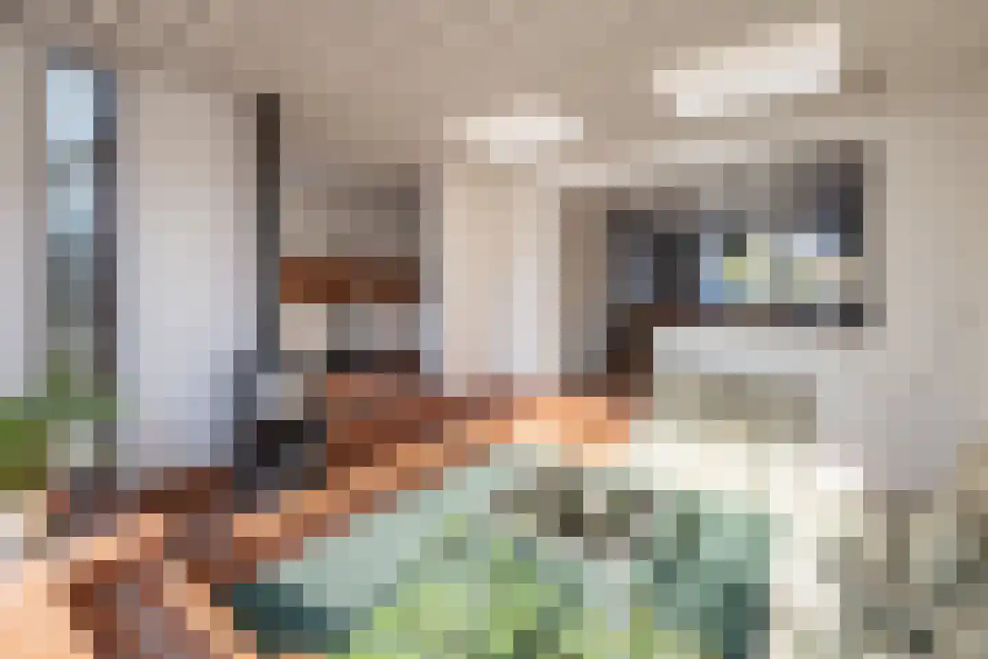Jan Hamdorfflaan 16 Laren thumbnail 12