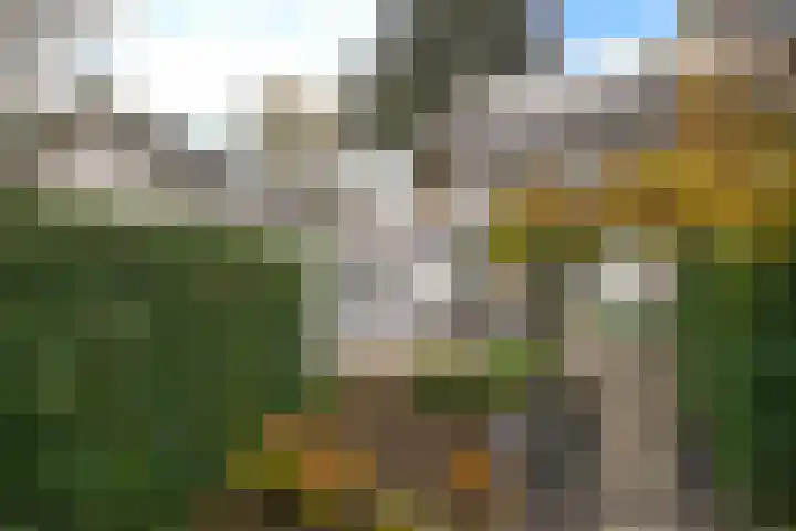 Jan Hamdorfflaan 6 Laren thumbnail 27