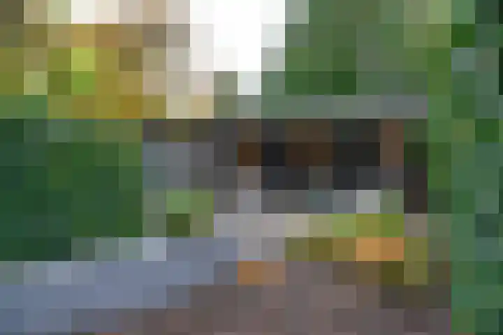 Jan Hamdorfflaan 6 Laren thumbnail 31