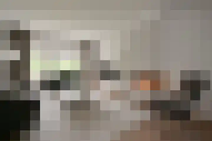 Jan Hamdorfflaan 6 Laren thumbnail 8