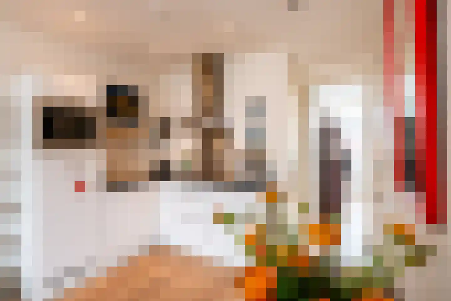 Jan Hanzenstraat 109 3 Amsterdam thumbnail 13