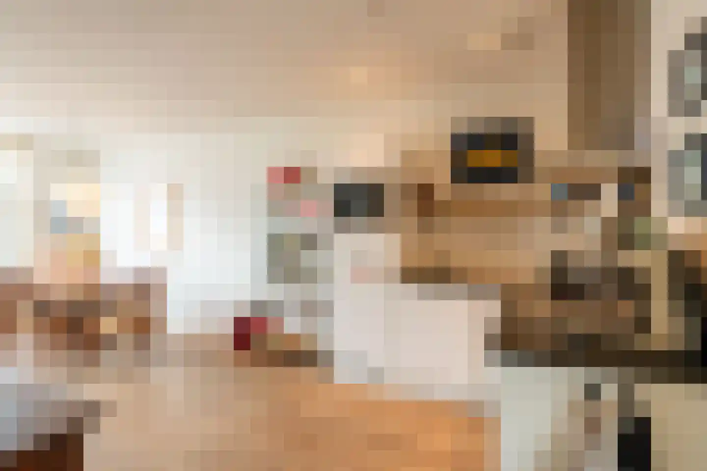 Jan Hanzenstraat 109 3 Amsterdam thumbnail 15