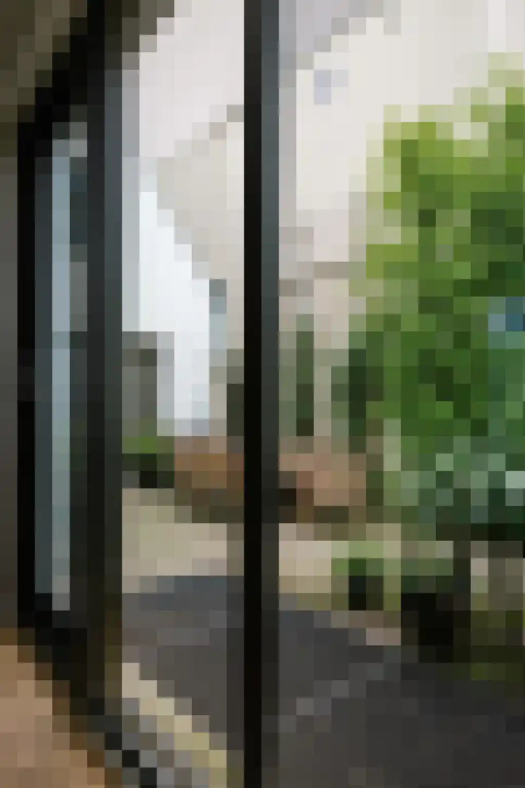 Jan Hanzenstraat 82 Amsterdam thumbnail 17