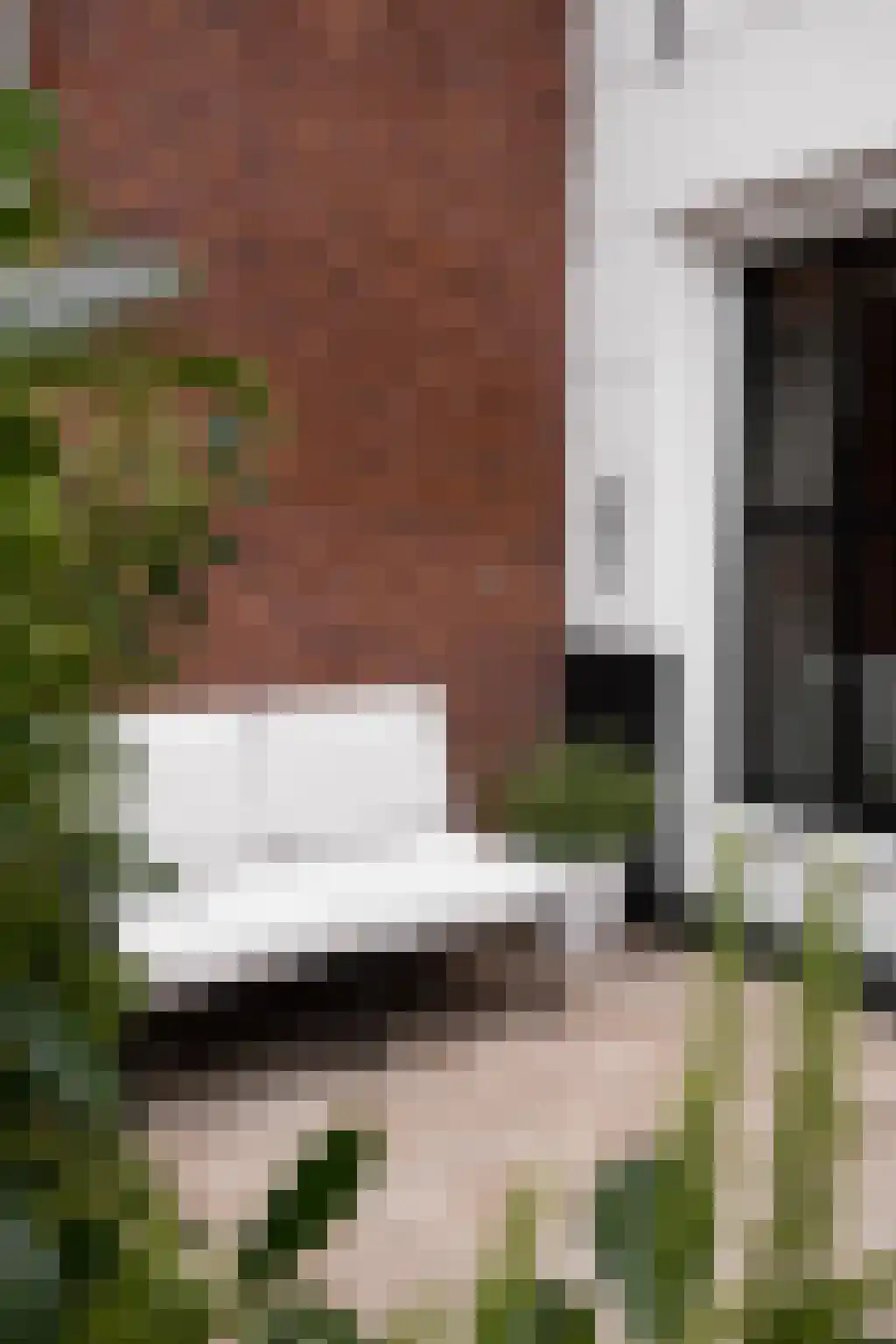 Jan Hanzenstraat 82 Amsterdam thumbnail 5