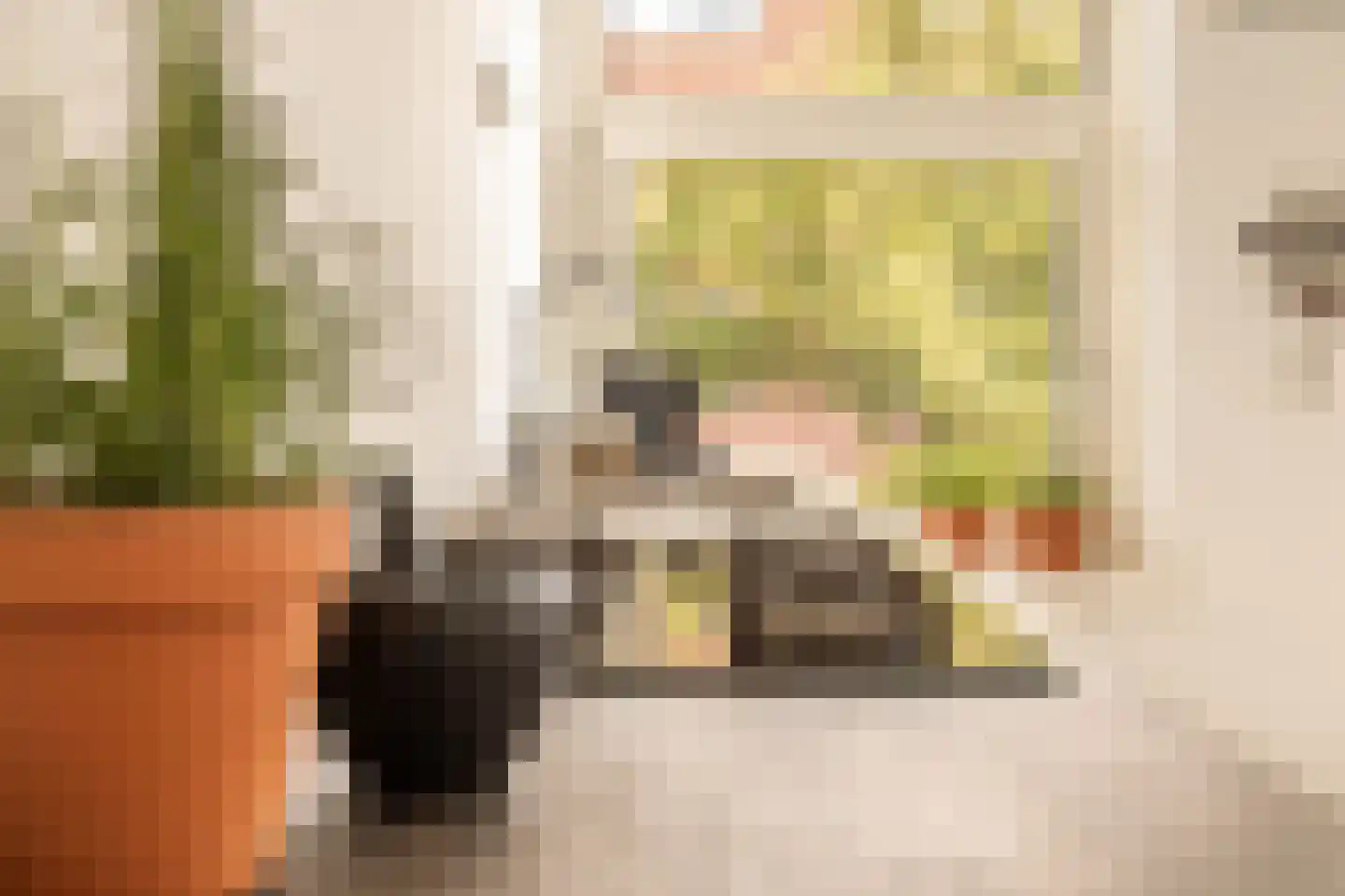 Jan Haringstraat 1 A 2 Amsterdam thumbnail 19