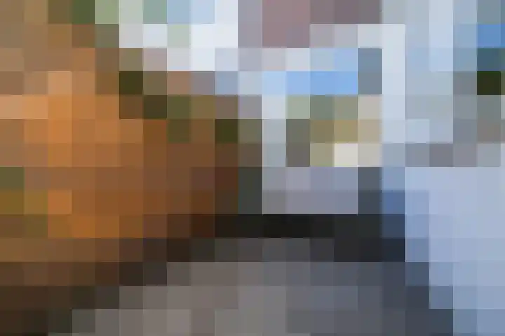 Jan Haringstraat 15 Utrecht thumbnail 32