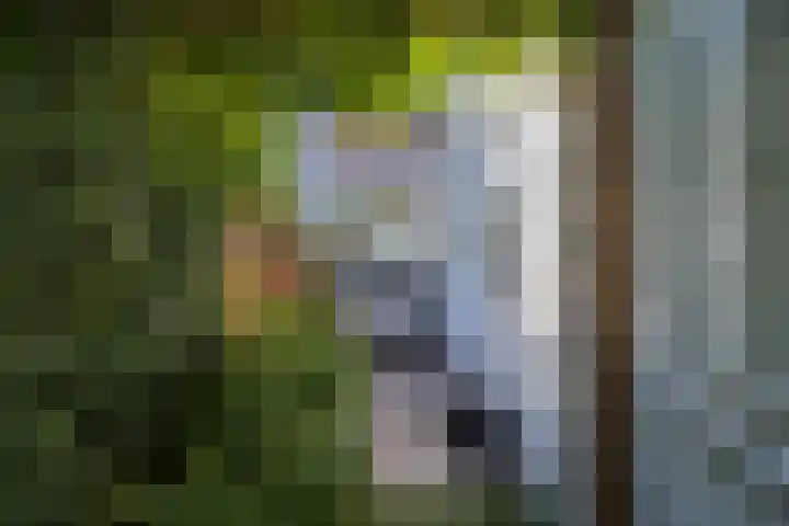 Jan Haringstraat 15 Utrecht thumbnail 4