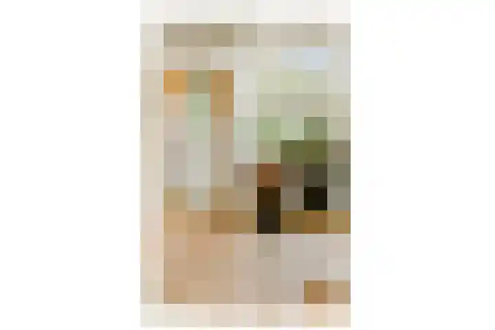 Jan Haringstraat 17 A 1 Amsterdam thumbnail 9