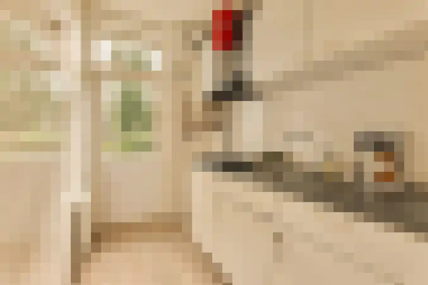 Jan Haringstraat 18 1 Amsterdam thumbnail 7