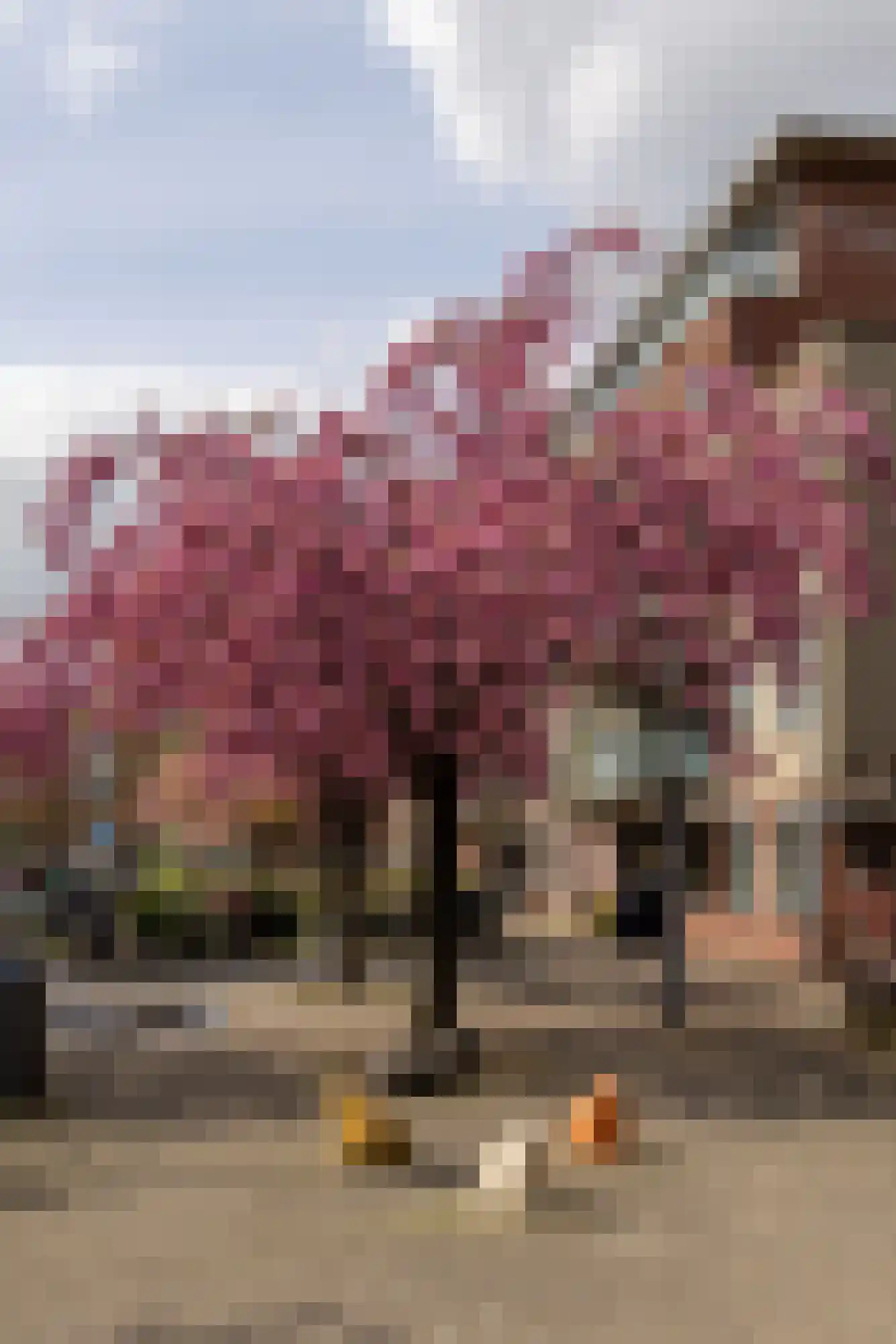 Jan Haringstraat 20 2 Amsterdam thumbnail 18