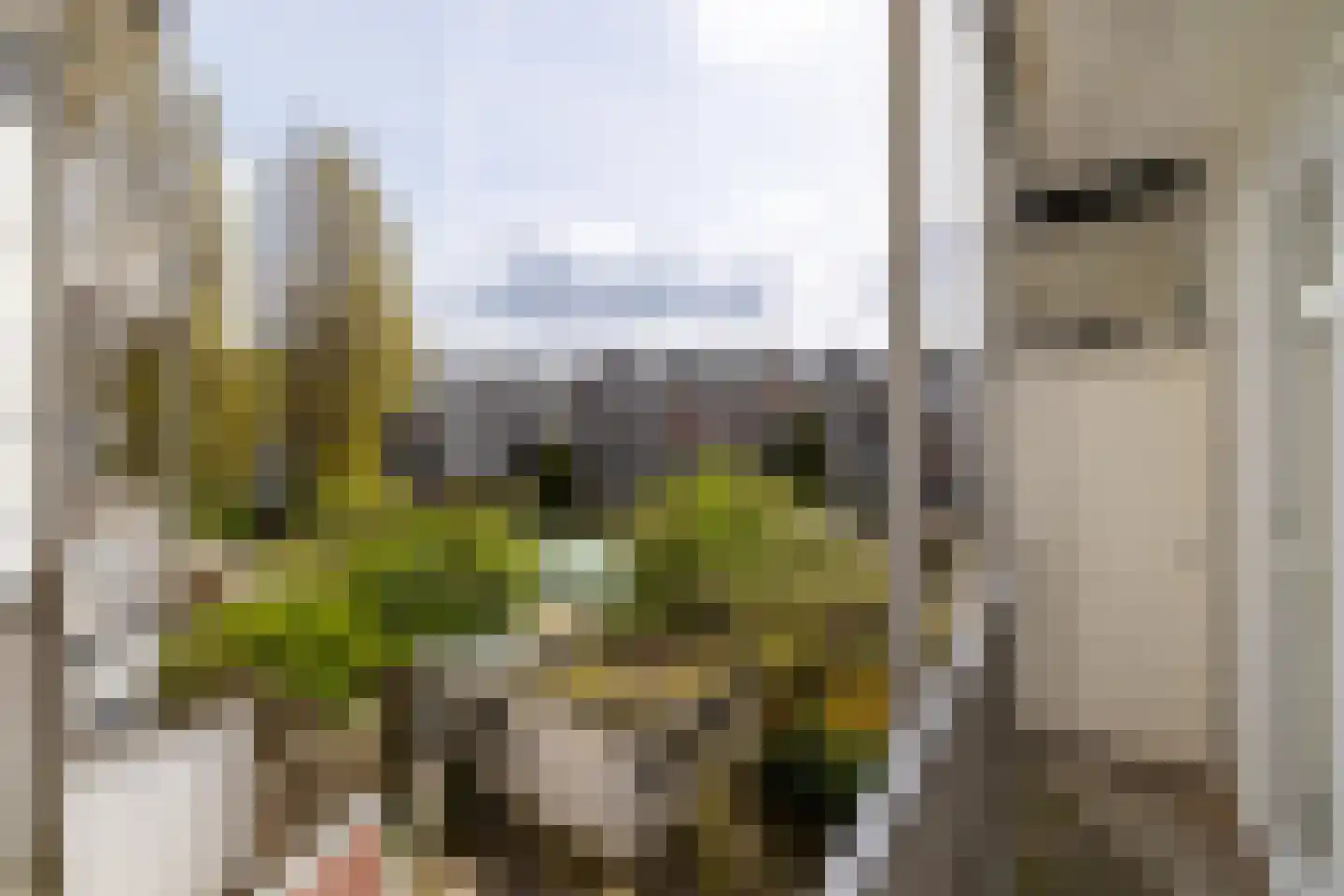 Jan Haringstraat 20 2 Amsterdam thumbnail 5