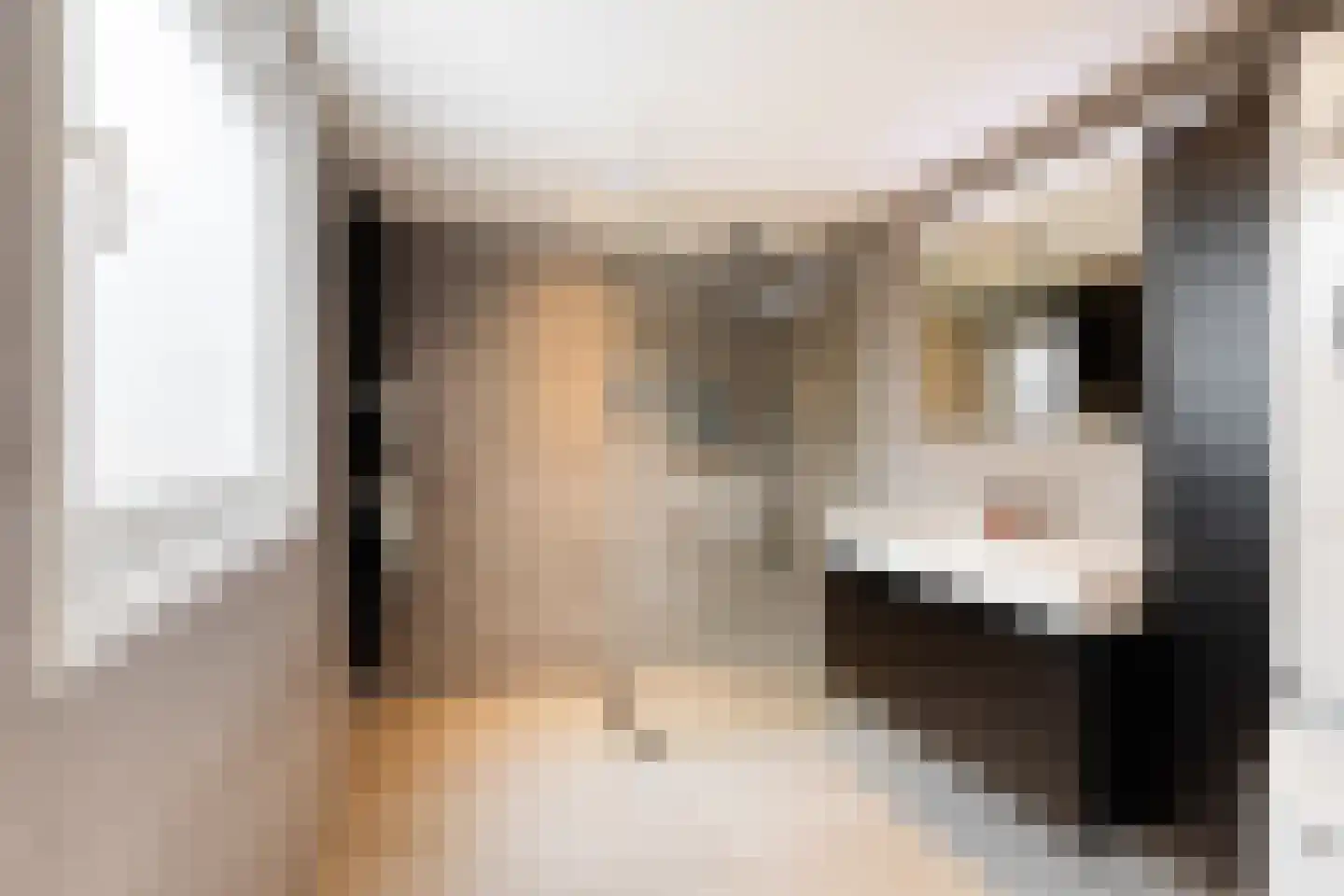 Jan Haringstraat 21 Utrecht thumbnail 17