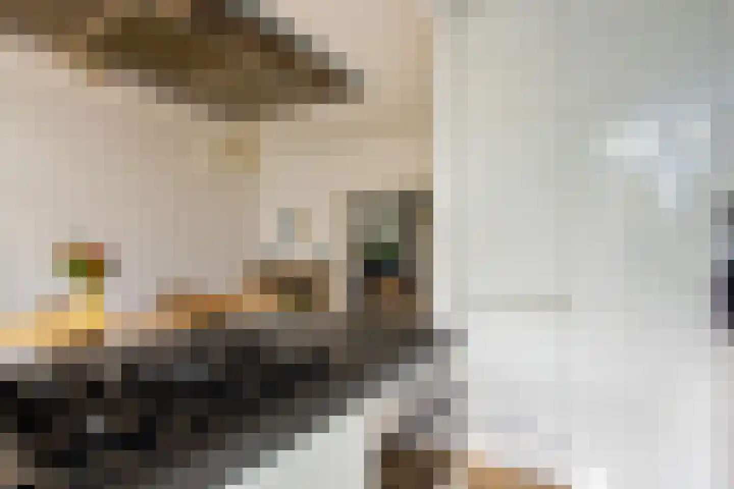 Jan Haringstraat 41 Haarlem thumbnail 20